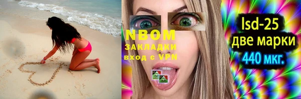 индика Пестово