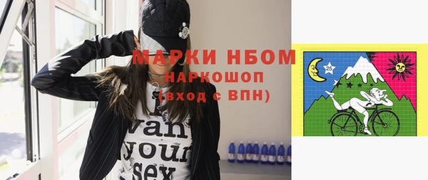 индика Пестово