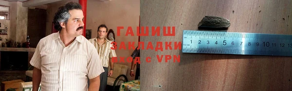 индика Пестово