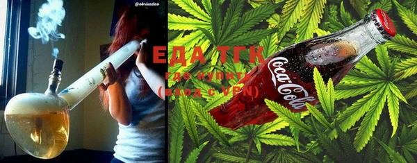 индика Пестово