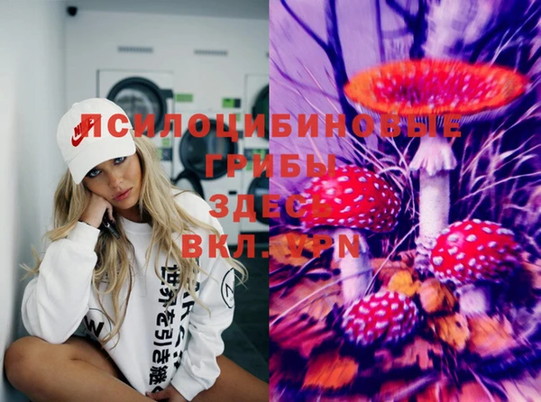 марки nbome Пересвет